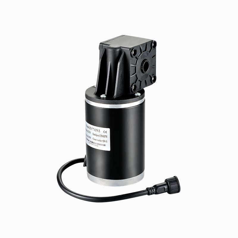 12V DC 200W 7712WZ bürstenbehafteter DC-Getriebemotor für Golfbagwagen