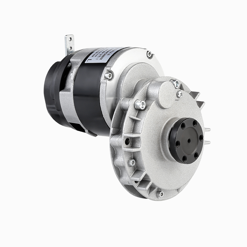 ZY9318L3-S Hochwertiger 24 V DC 200 W 9318 Rollstuhl-Gleichstrom-Getriebemotor mit Bürsten